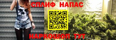 прущие грибы Апшеронск