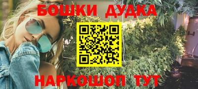 прущие грибы Апшеронск