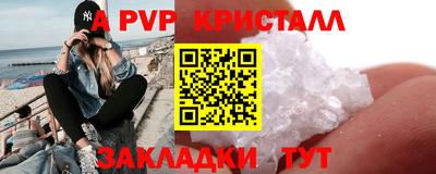 мяу мяу мука Аргун