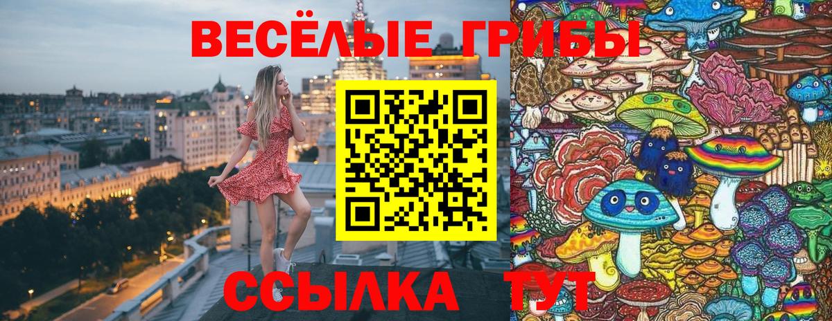 Псилоцибиновые грибы Psilocybine cubensis  Псилоцибиновые грибы GOLDEN TEACHER  Артём  Вход с VPN 